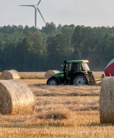 Stock photo of Skåne