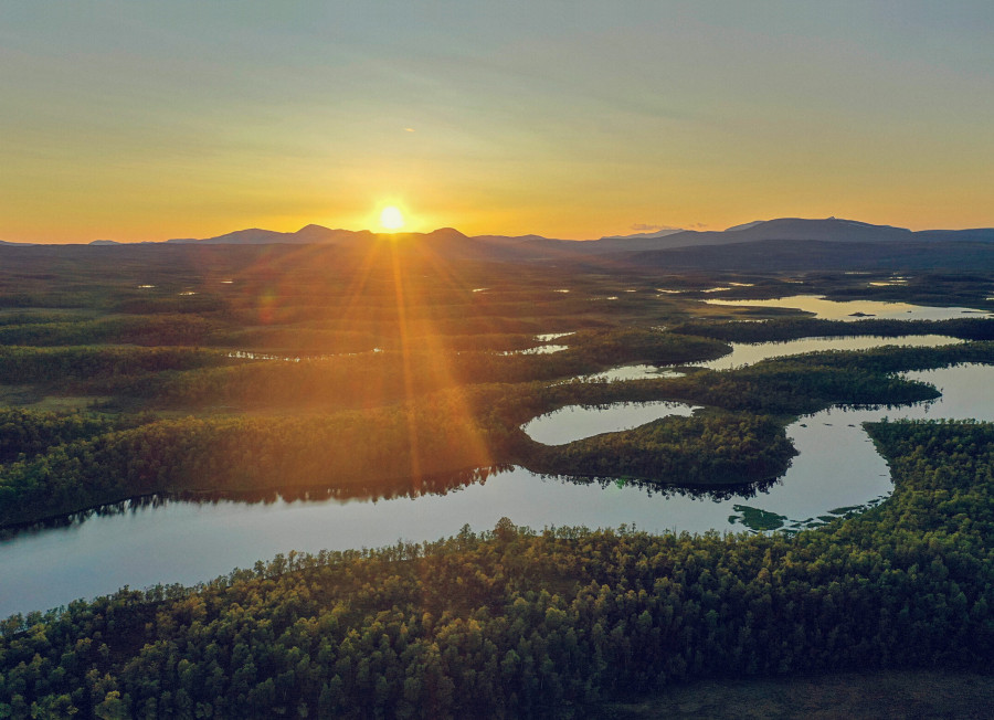 Stock photo of a Swedish forest wirh rivers