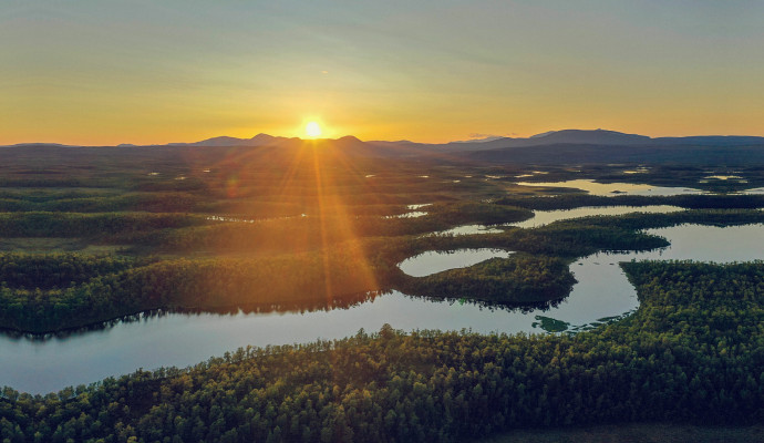 Stock photo of a Swedish forest wirh rivers