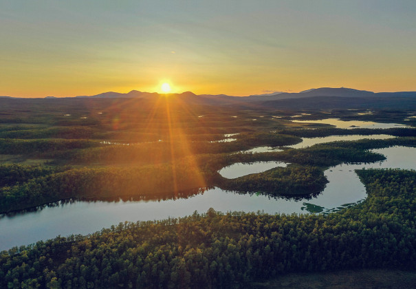 Stock photo of a Swedish forest wirh rivers