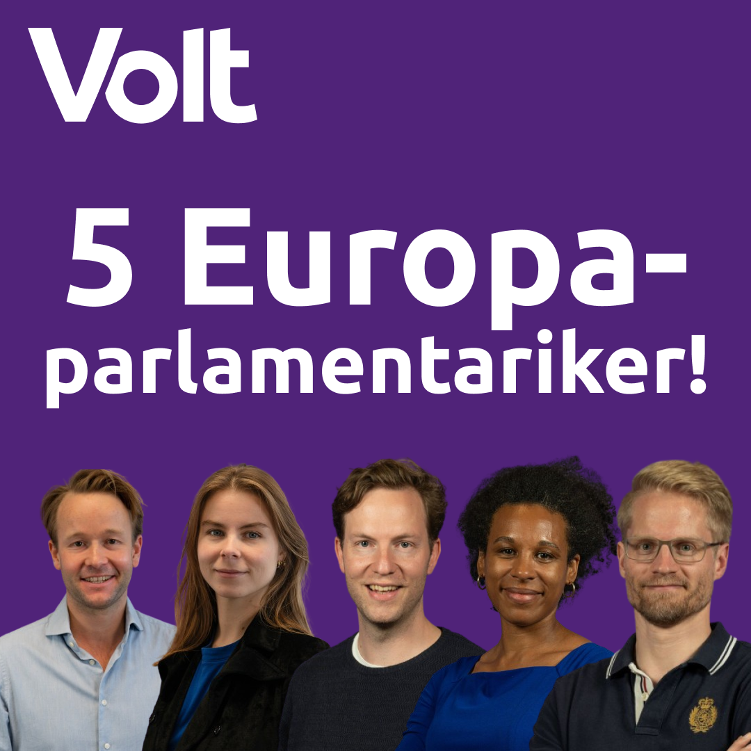En bild med v&aring;ra fem valda Europaparlamentariker